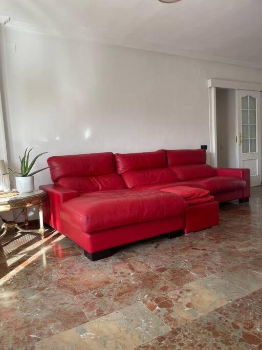 קאלאפיי Cal Salmare Seafront Apartment With Rooftop Terrace And Pool מראה חיצוני תמונה
